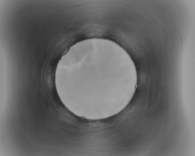 X0000112971250200910081038