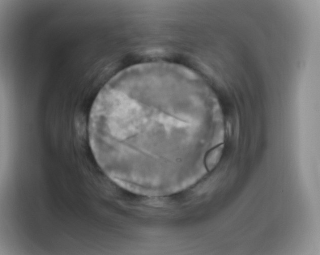 X0000112971251200910081038