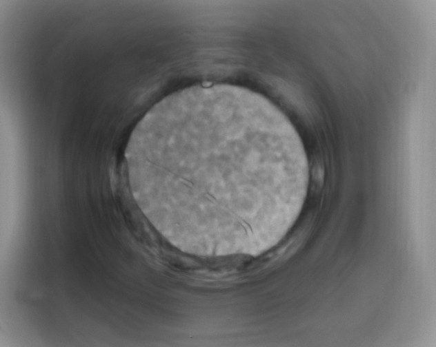 X0000112971252200910081038