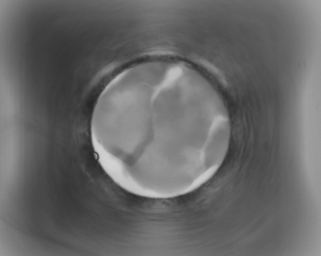 X0000112971255200910081038