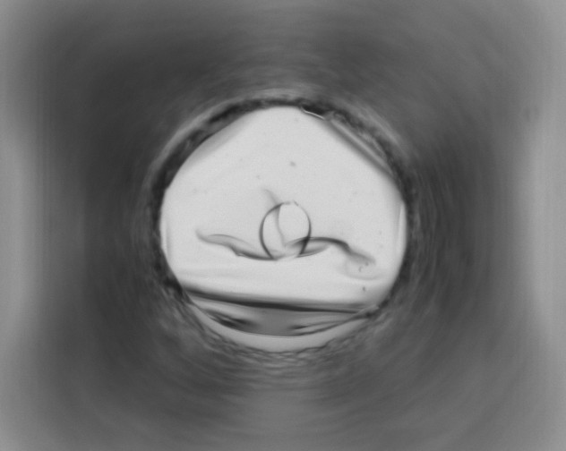 X0000112971256200910081038