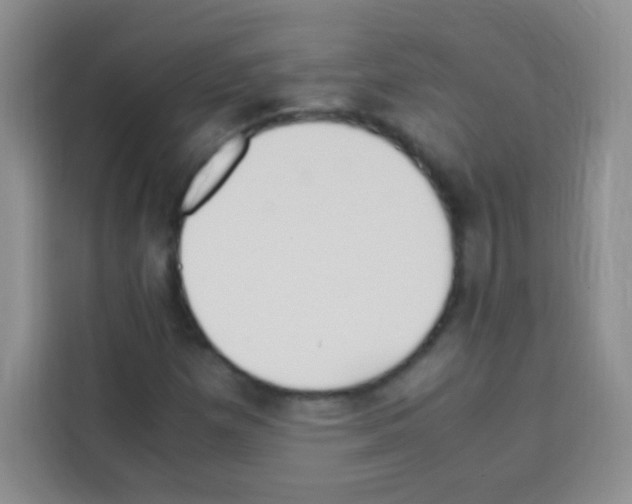 X0000112971257200910081038