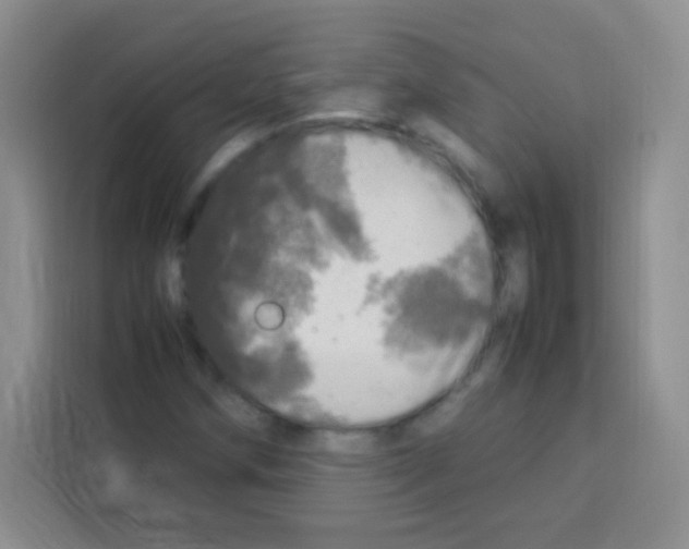 X0000112971258200910081038