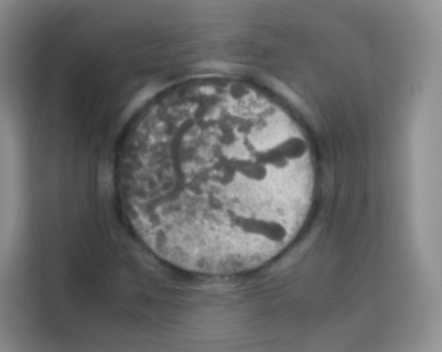 X0000112971259200910081038