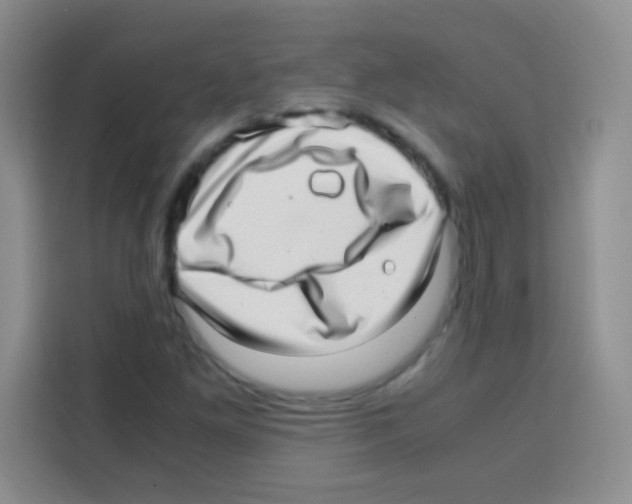 X0000112971261200910081038