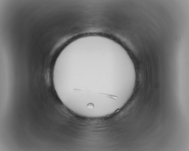 X0000112971262200910081038