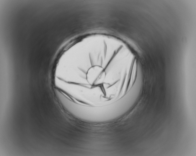 X0000112971264200910081038
