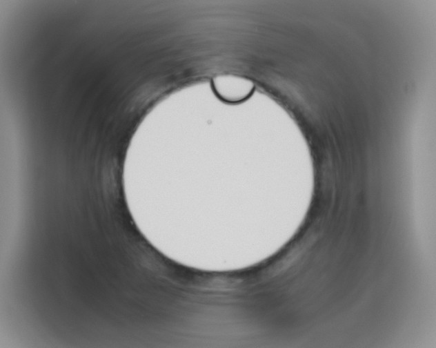 X0000112971265200910081038