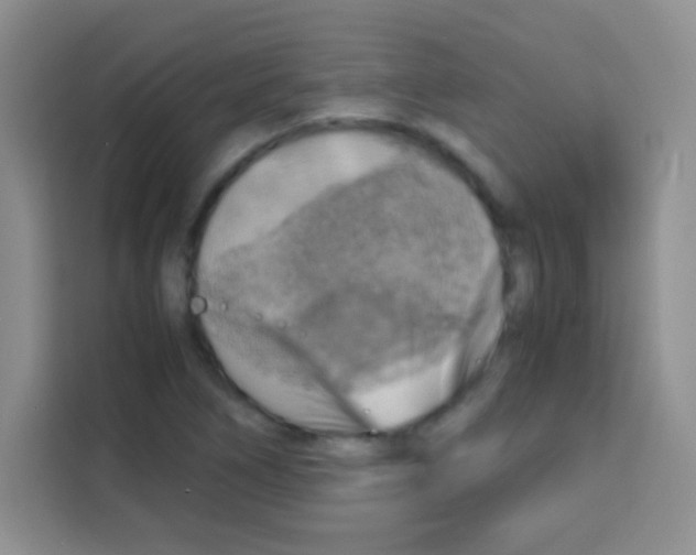 X0000112971266200910081038