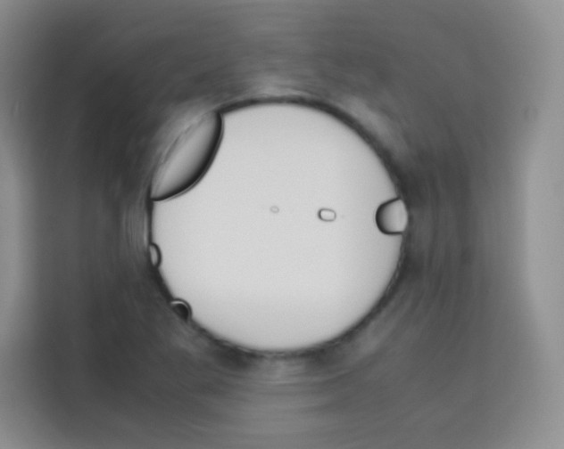 X0000112971269200910081038
