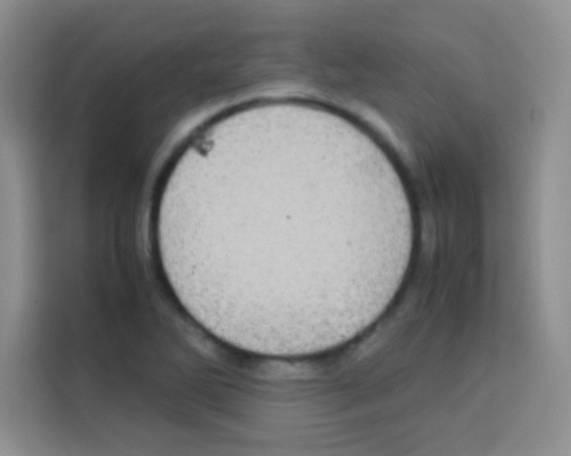 X0000112971270200910081038