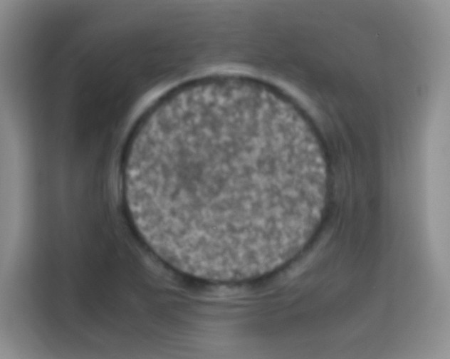 X0000112971271200910081038