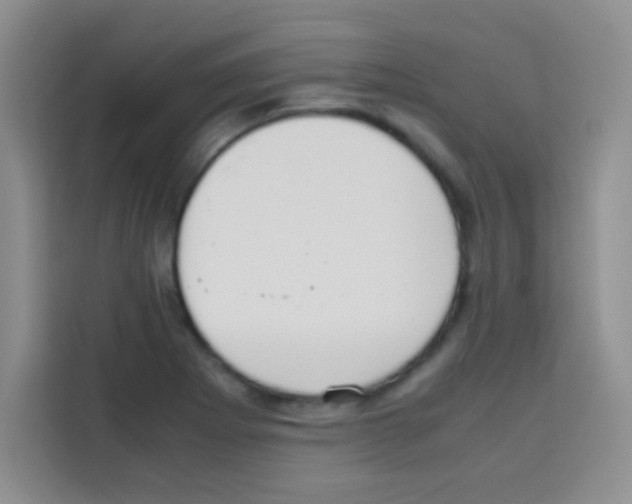 X0000112971273200910081038