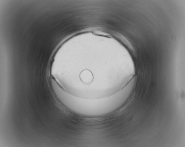 X0000112971276200910081038