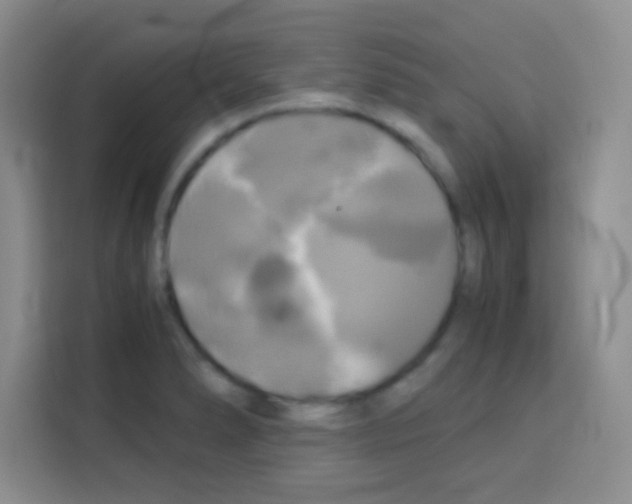 X0000112971278200910081038