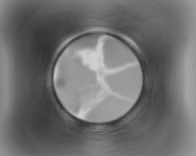 X0000112971279200910081038