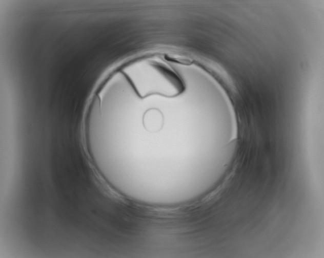 X0000112971280200910081038