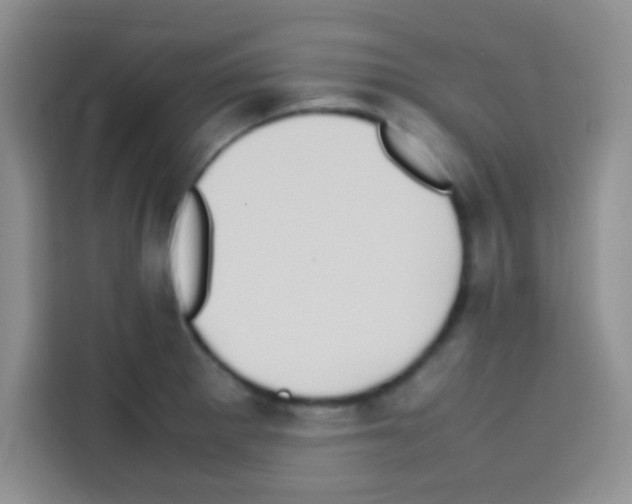 X0000112971281200910081038