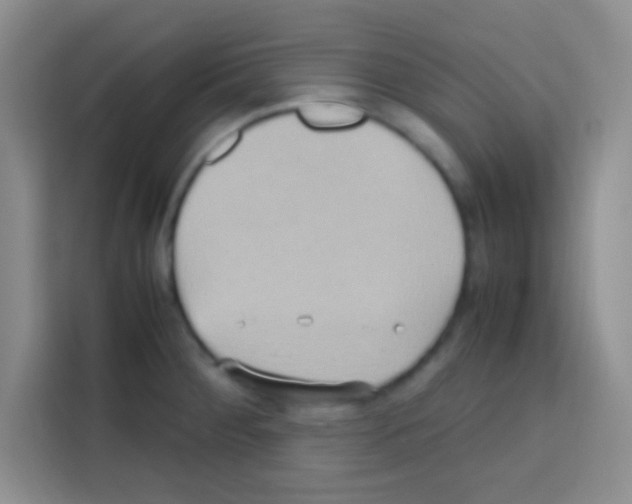 X0000112971284200910081038