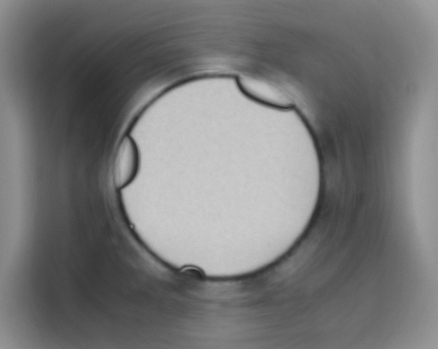 X0000112971285200910081038