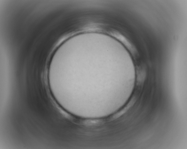 X0000112971286200910081038