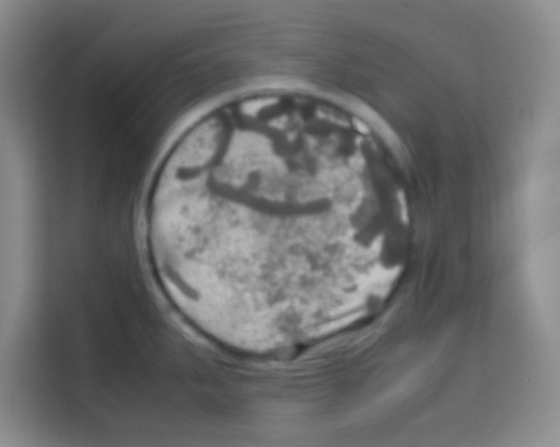 X0000112971287200910081038