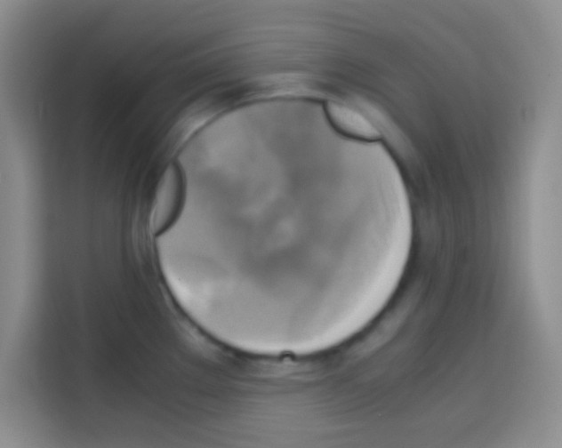 X0000112971289200910081038