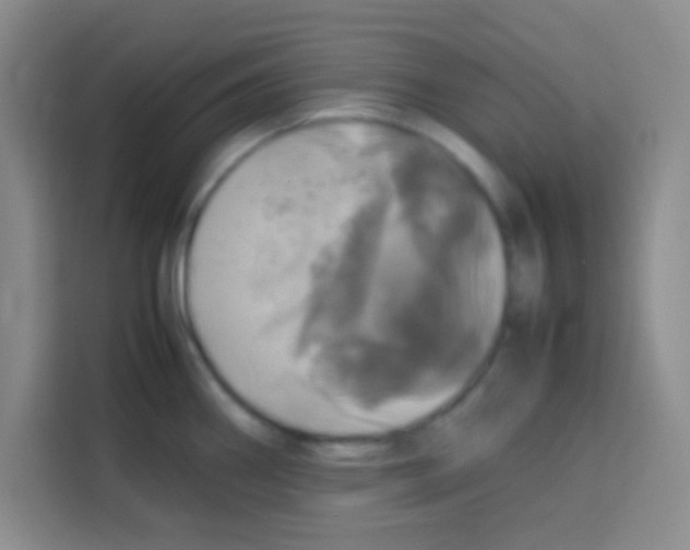 X0000112971290200910081038