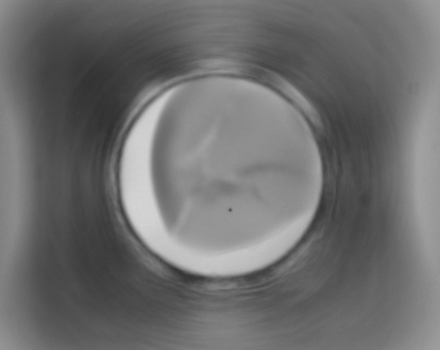 X0000112971291200910081038