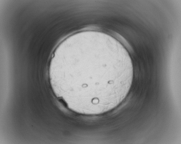 X0000112971292200910081038