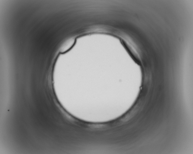 X0000112971293200910081038