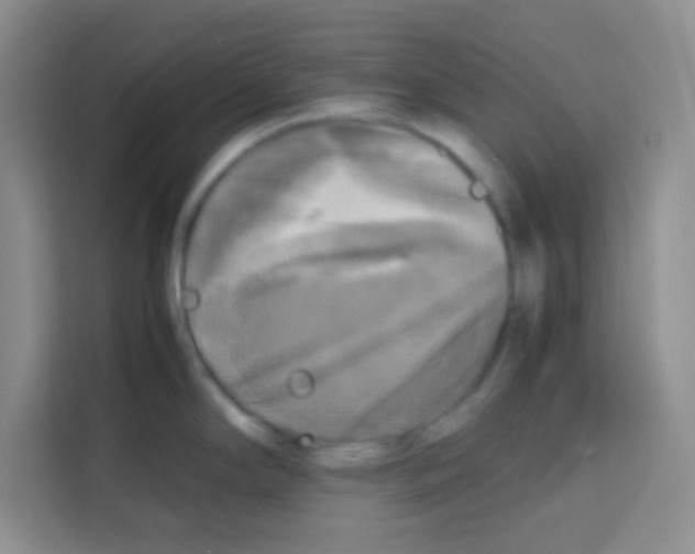 X0000112971294200910081038