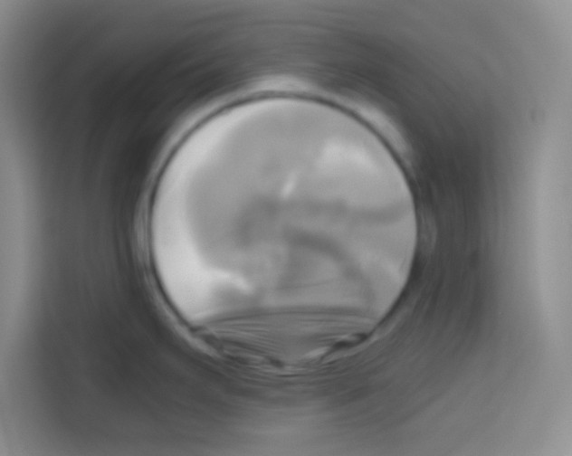 X0000112971295200910081038