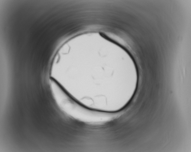 X0000112971296200910081038
