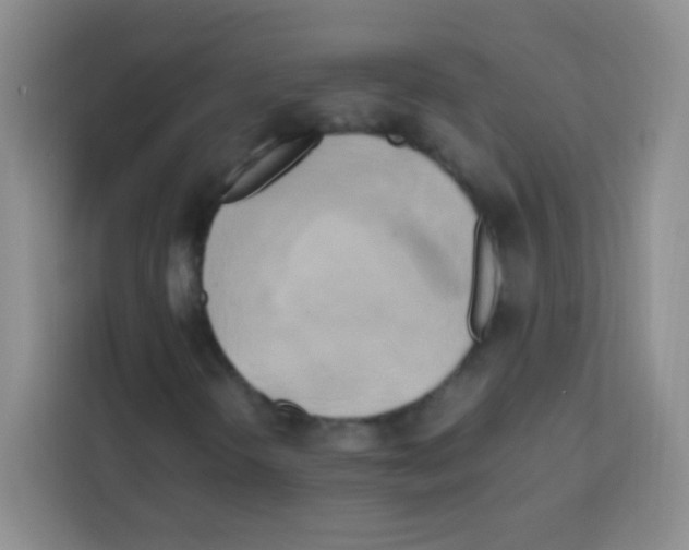 X0000112971298200910081037