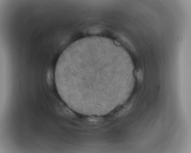 X0000112971299200910081037