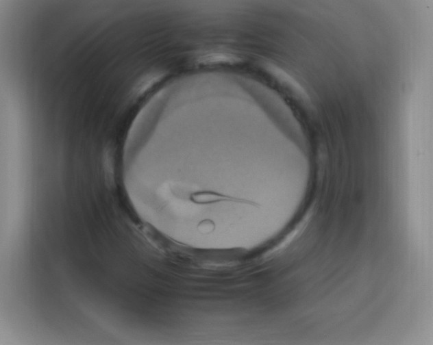 X0000112971305200910081037