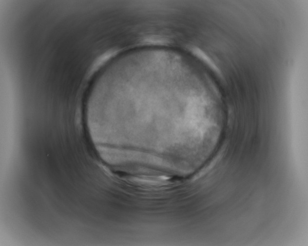 X0000112971307200910081037