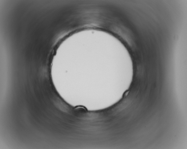 X0000112971308200910081037