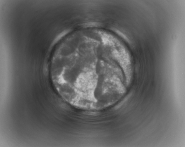 X0000112971309200910081037
