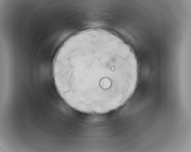 X0000112971314200910081037