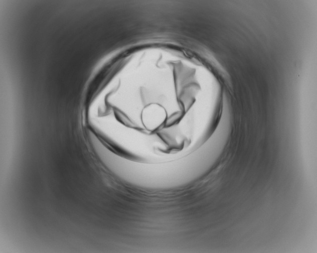 X0000112971320200910081037