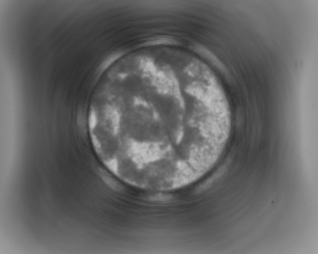 X0000112971321200910081037