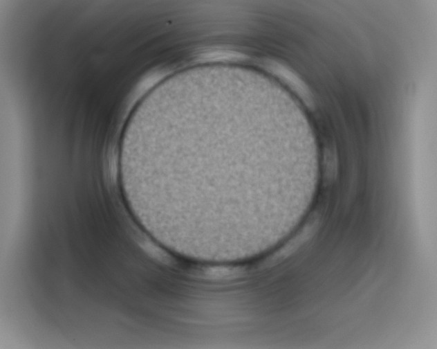 X0000112971322200910081038