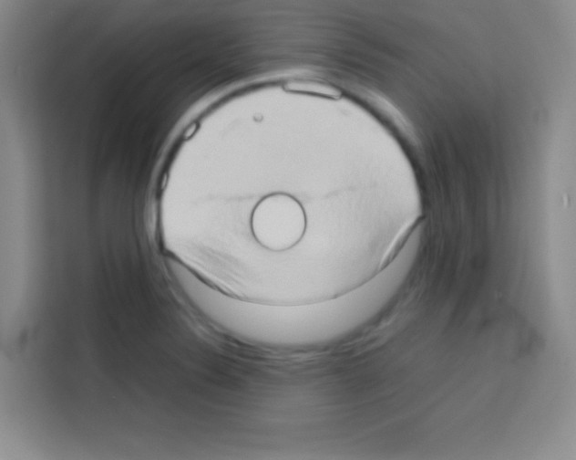X0000112971324200910081038