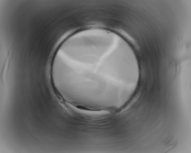 X0000112971325200910081038