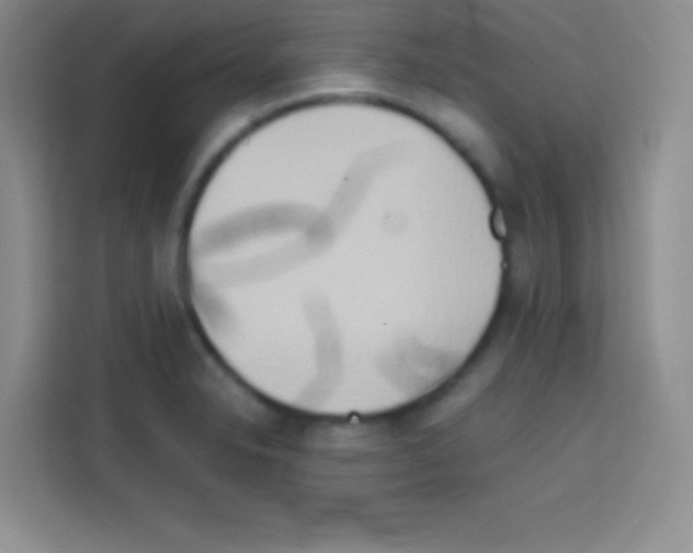 X0000112971326200910081038