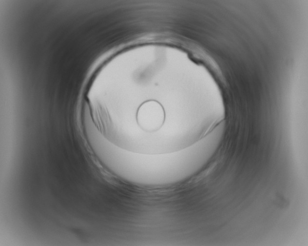 X0000112971328200910081038