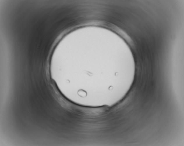 X0000112971332200910081038
