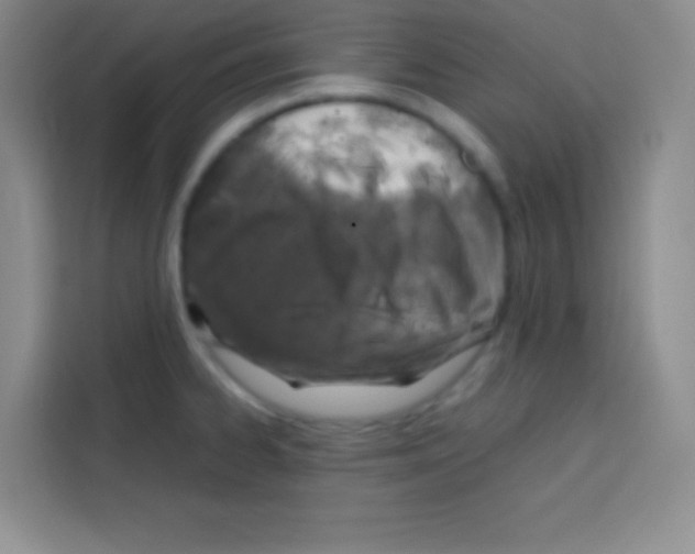 X0000112971334200910081038